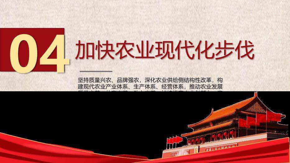 红色庄重风乡村振兴战略规划PPT模板8