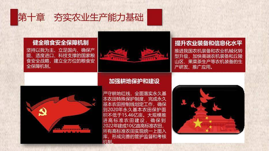 红色庄重风乡村振兴战略规划PPT模板9