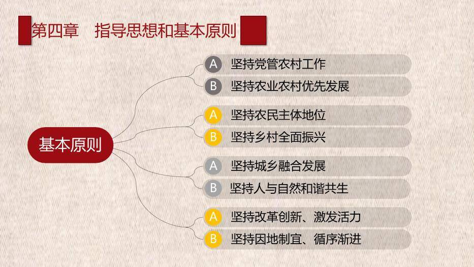 红色庄重风乡村振兴战略规划PPT模板1