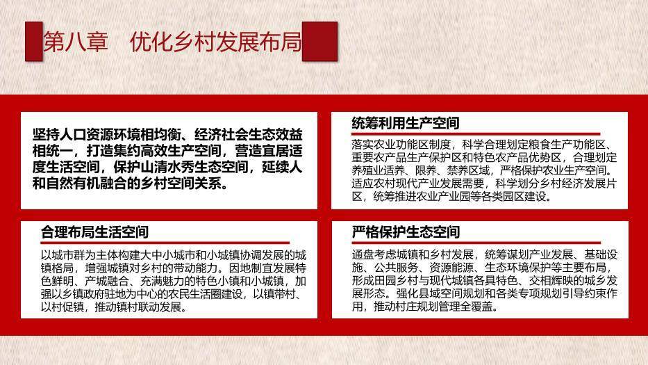 红色庄重风乡村振兴战略规划PPT模板6