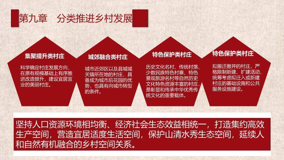 红色庄重风乡村振兴战略规划PPT模板7