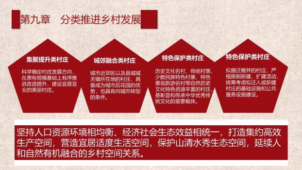 红色庄重风乡村振兴战略规划PPT模板7