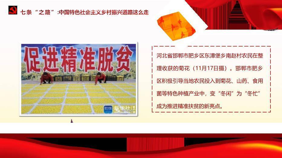 红色庄重风中央农村工作会议PPT模板9