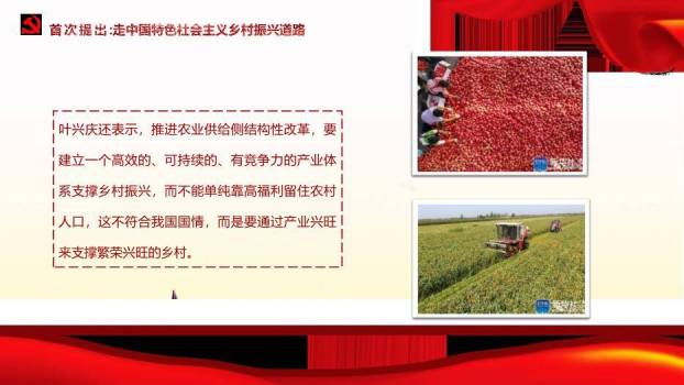 红色庄重风中央农村工作会议PPT模板2