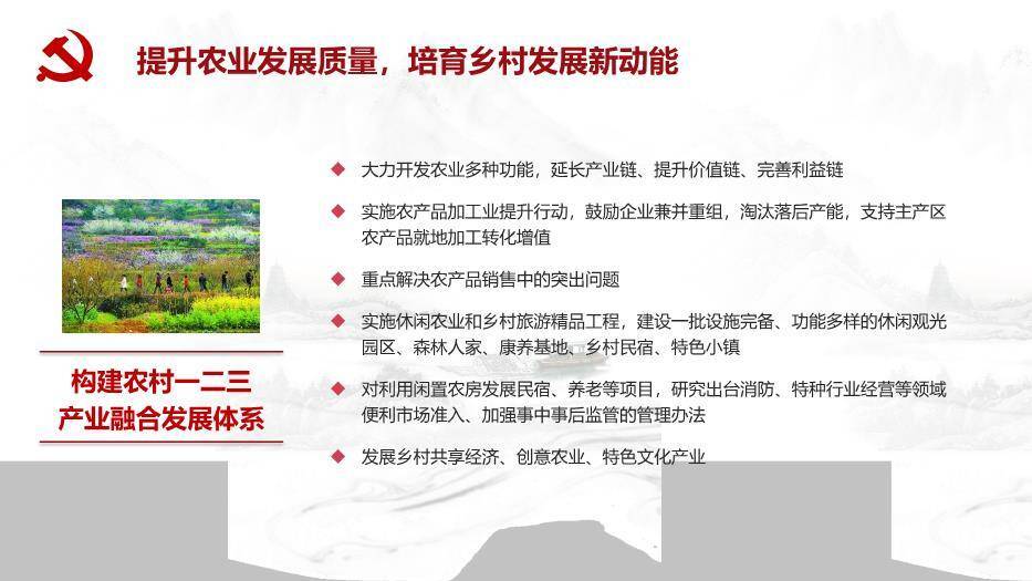 灰色庄重风乡村振兴这么干PPT模板8