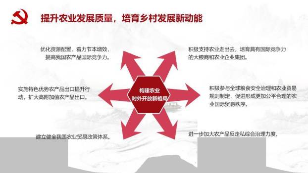 灰色庄重风乡村振兴这么干PPT模板9