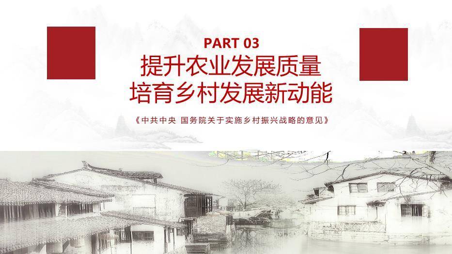灰色庄重风乡村振兴这么干PPT模板4