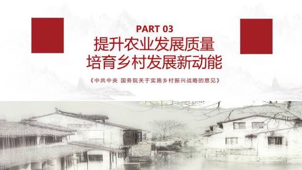 灰色庄重风乡村振兴这么干PPT模板4