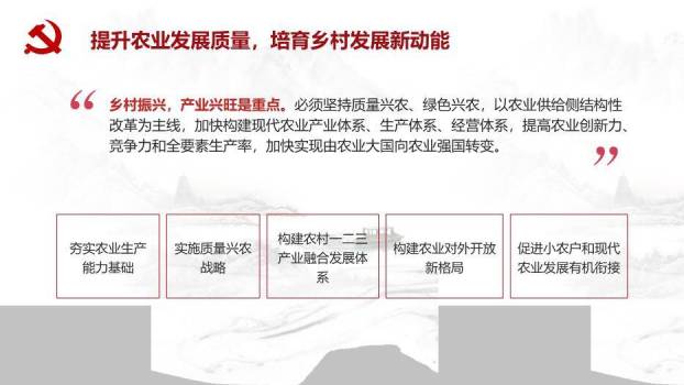 灰色庄重风乡村振兴这么干PPT模板5