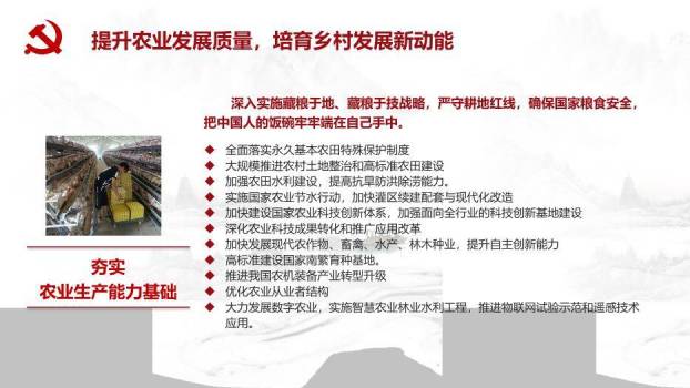 灰色庄重风乡村振兴这么干PPT模板6
