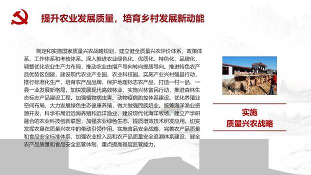 灰色庄重风乡村振兴这么干PPT模板7