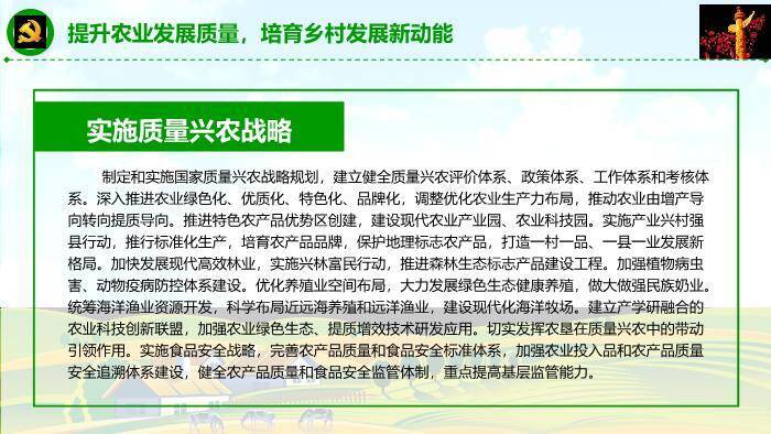 蓝色商务风乡村振兴这么干PPT模板8