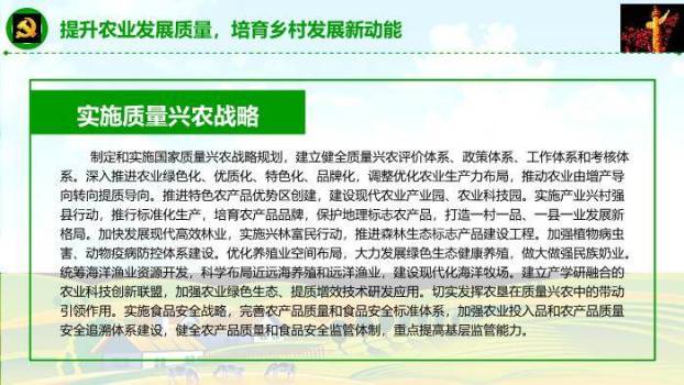 蓝色商务风乡村振兴这么干PPT模板8