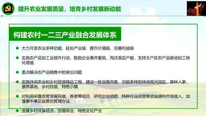 蓝色商务风乡村振兴这么干PPT模板9