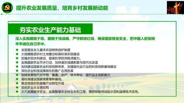 蓝色商务风乡村振兴这么干PPT模板7