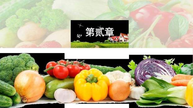 绿色简约风和谐新农村PPT模板2