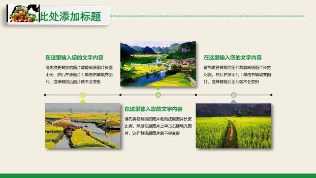 绿色简约风和谐新农村PPT模板3