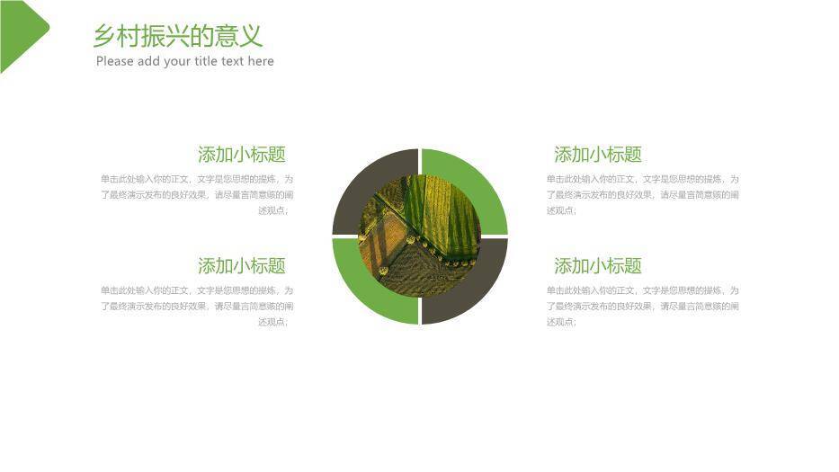 绿色简约风乡村振兴计划PPT模板9