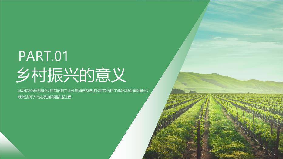 绿色简约风乡村振兴计划书PPT模板8