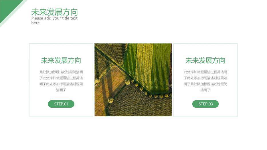 绿色简约风乡村振兴计划书PPT模板4