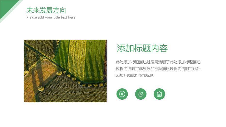 绿色简约风乡村振兴计划书PPT模板5