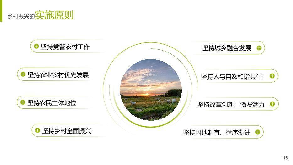 绿色简约风乡村振兴战略PPT模板(2)9