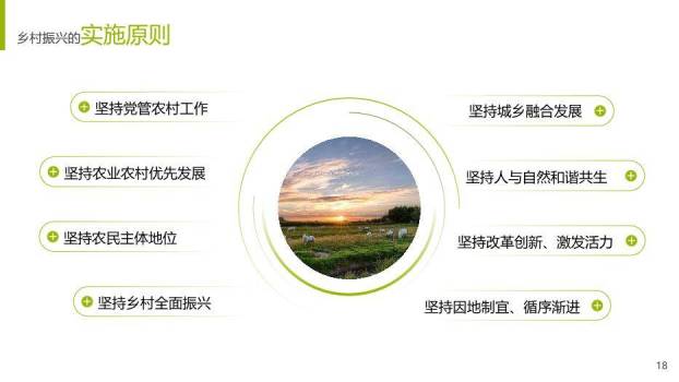 绿色简约风乡村振兴战略PPT模板(2)9
