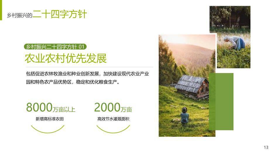 绿色简约风乡村振兴战略PPT模板(2)4