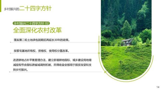 绿色简约风乡村振兴战略PPT模板(2)5