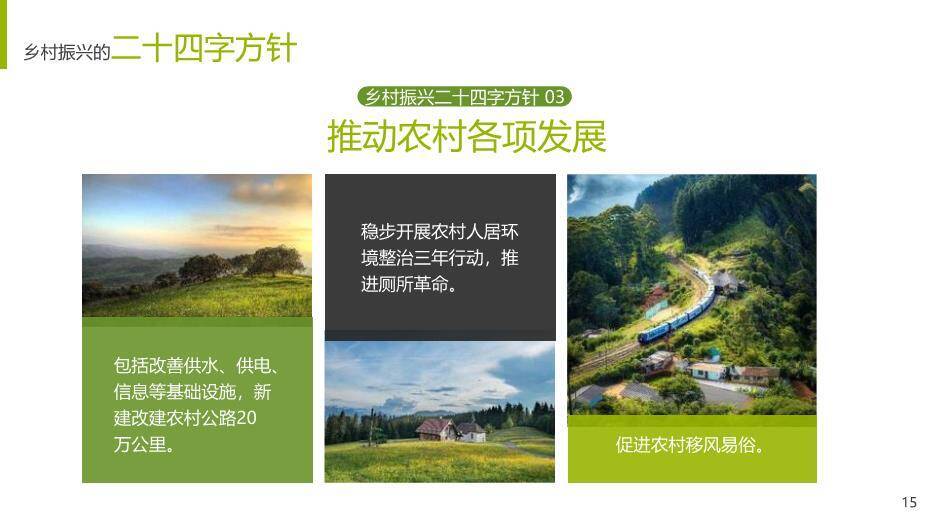 绿色简约风乡村振兴战略PPT模板(2)6
